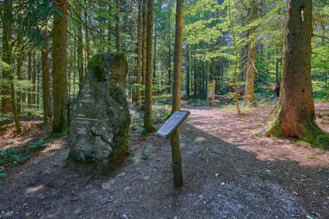 Gemeinde Sonnenwald Landkreis Freyung-Grafenau Brotjacklriegel Du Stein (Dirschl Johann) Deutschland FRG